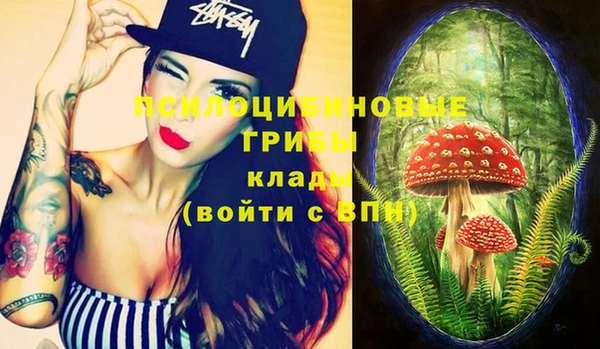 винт Дмитриев