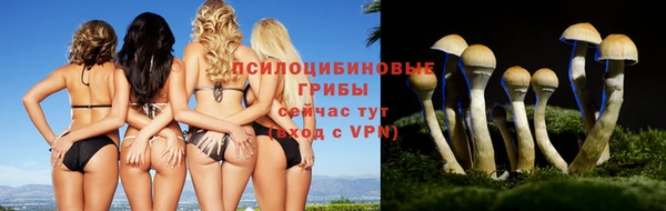 винт Дмитриев