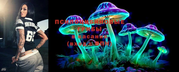 таблы Ельня