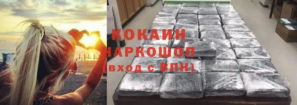 хмурый Елизово