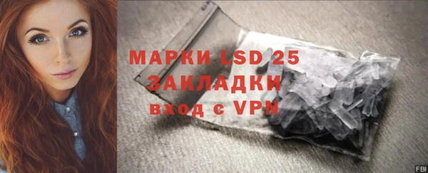 таблы Ельня