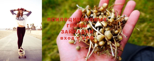 хмурый Елизово